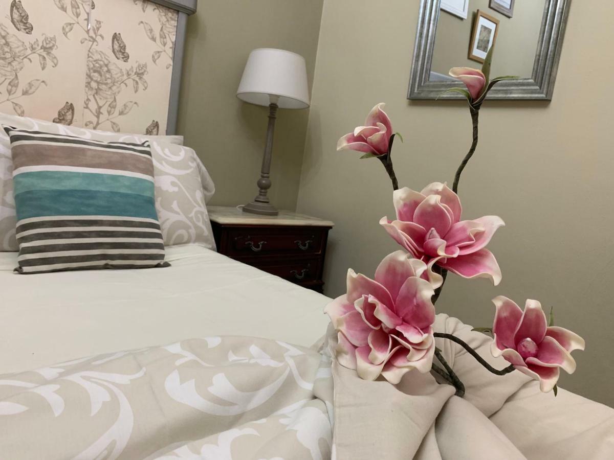 Dream Flat Apartment Santa Cruz de Tenerife Luaran gambar